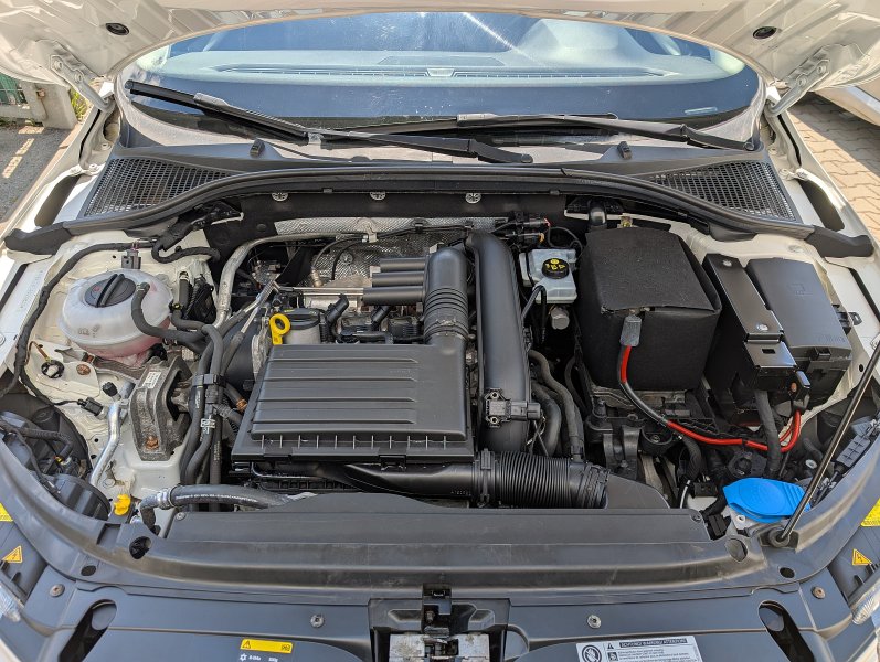 pxl-20250513-110818112.jpg