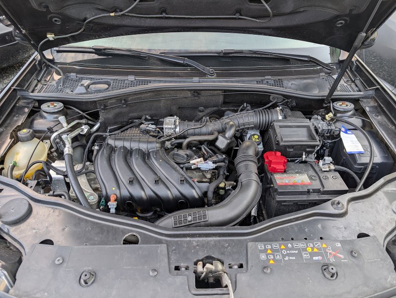 pxl-20250805-062118685.jpg