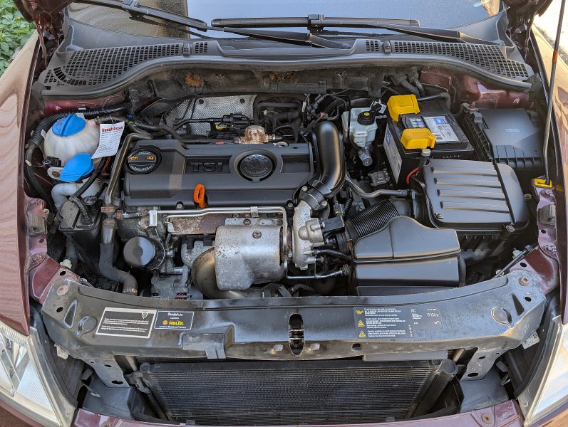 pxl-20260505-114753958.jpg