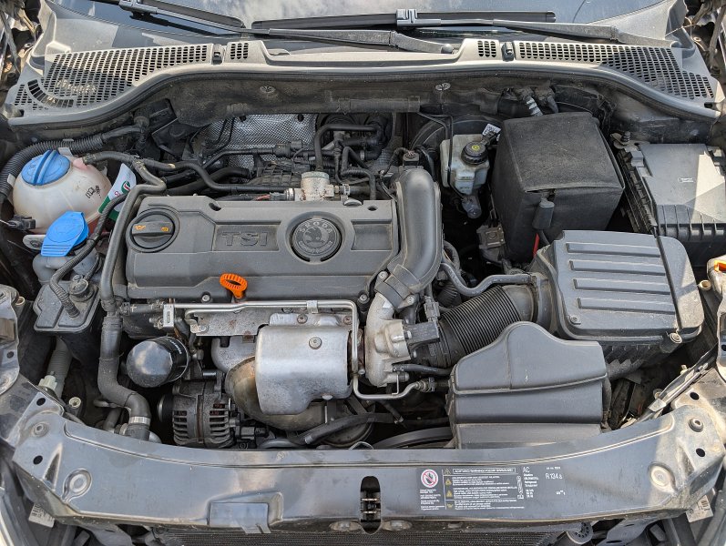 pxl-20260810-122645074.jpg