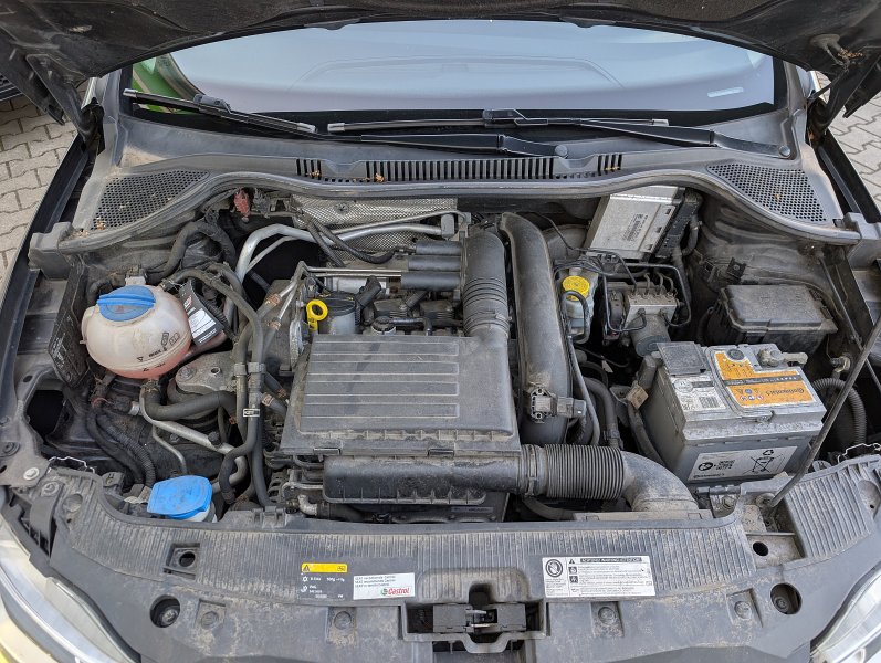 pxl-20260813-064654923.jpg