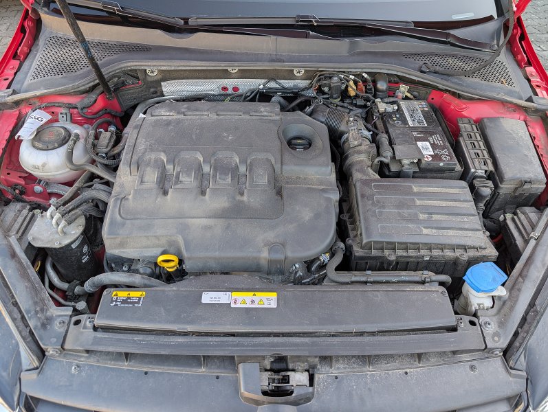pxl-20260813-062050317.jpg