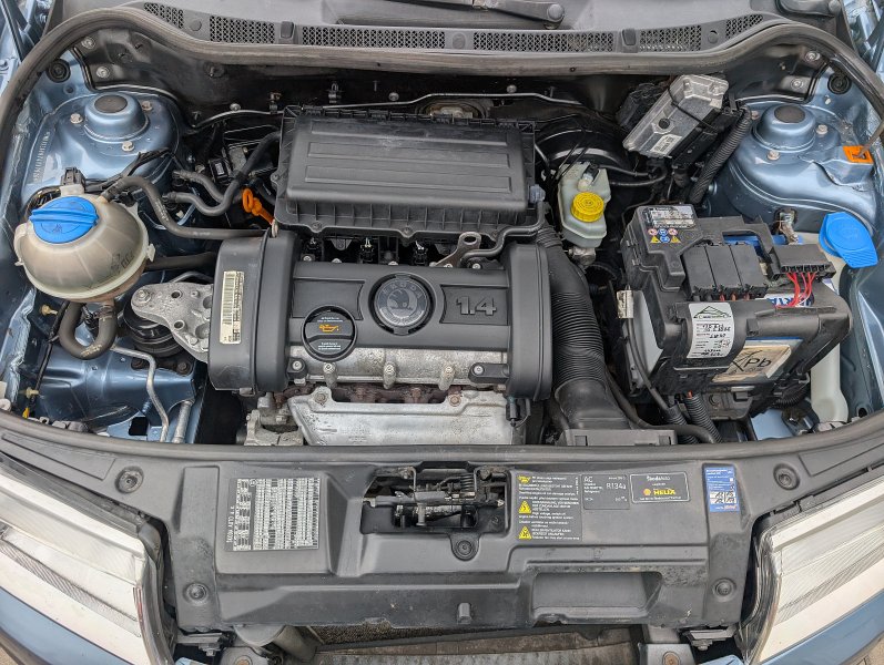 pxl-20260818-114446920.jpg