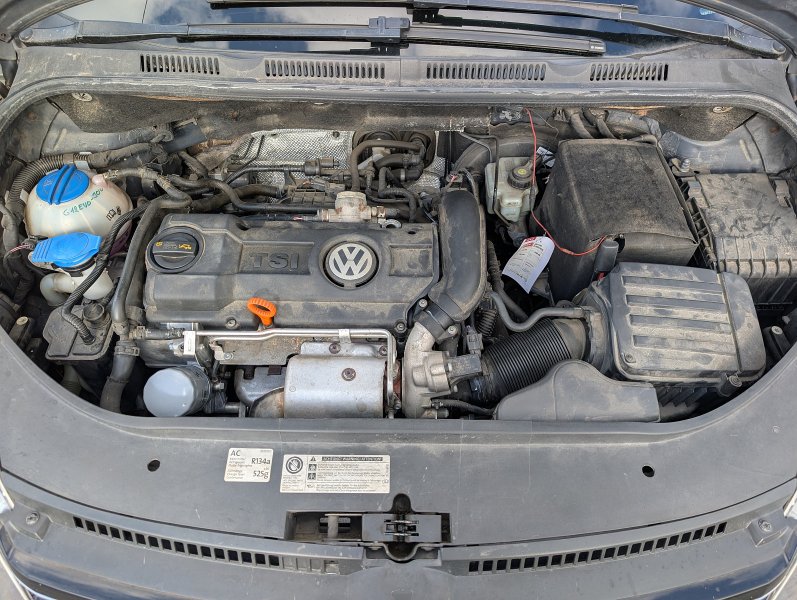 pxl-20261026-112727636.jpg